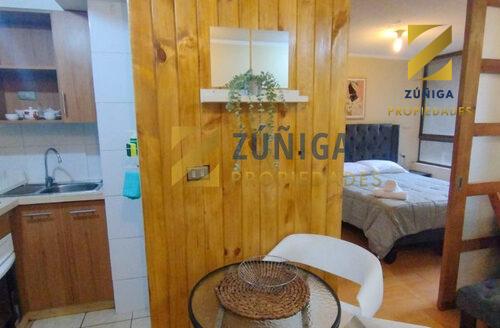 Arriendo Departamento Amoblado – 1d 1b  Metro Sta Lucia
