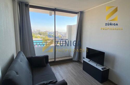 ¡arriendo Departamento 1d1b En Santiago Centro!