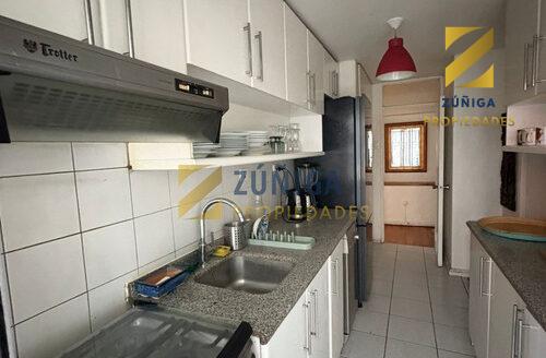 Arriendo Departamento Amoblado En Providencia 3d2b