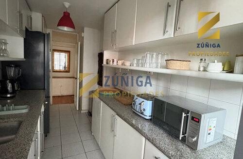 Arriendo Departamento Amoblado En Providencia 3d2b